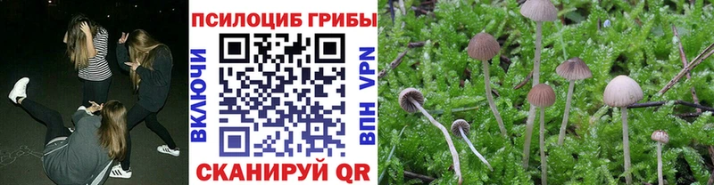 кракен онион  наркотики  Междуреченск  Псилоцибиновые грибы Magic Shrooms 